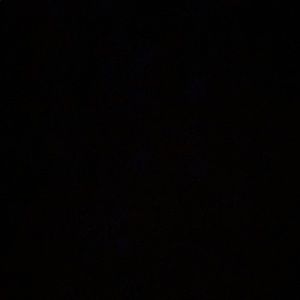 Meet your Posher, Terry